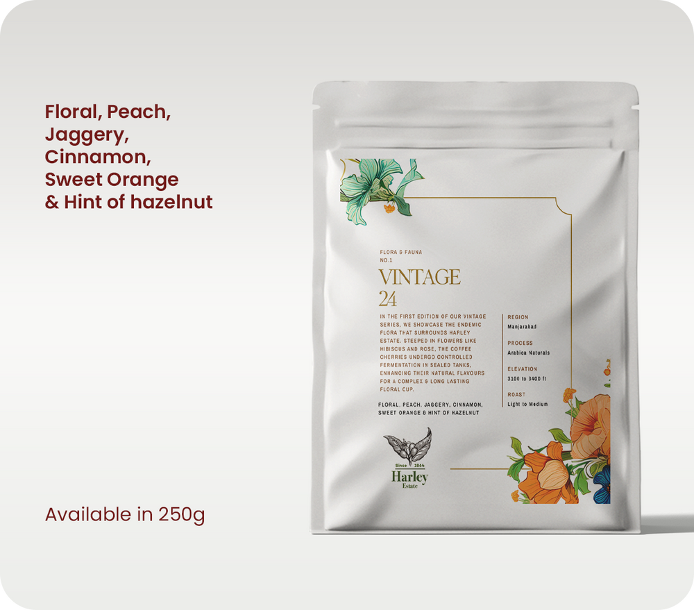 Vintage 24 - Speciality Arabica