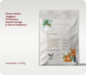 Vintage 24 - Speciality Arabica